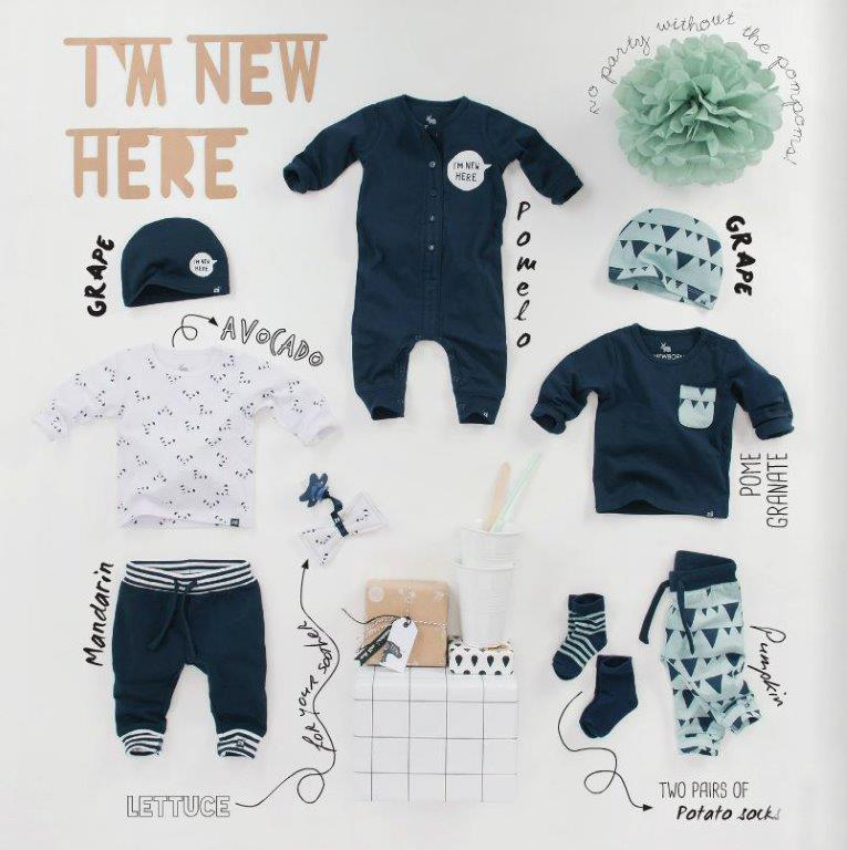 z8 jongens, z8 newborn winter 2015-2016, z8 babykleding, nieuwe collectie Z8 babykleding
