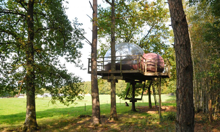 natuurhuisjes, slapen in bomen, uniek overnachten in de natuur, kidsproof vakantie