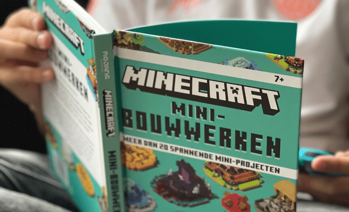 Minecraft Mini Bouwwerken