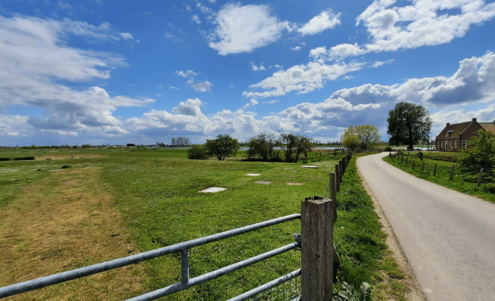goede voornemens, hoe kom ik van mijn telefoon verslaving af