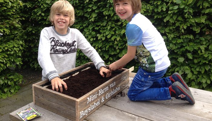 Farming Simulator 15