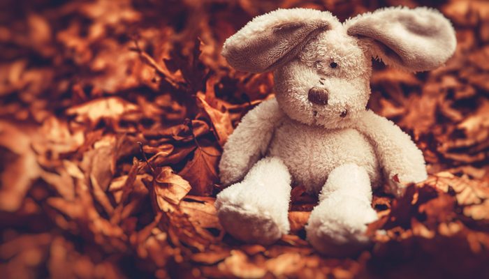 knuffeldier, knuffels, waarom hechten kinderen zich aan knuffels, knuffel kind