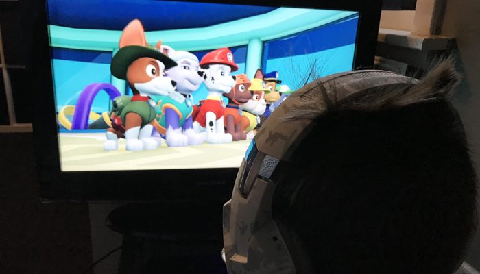 PAW Patrol on a Roll, PS4 games, Paw Patrol game