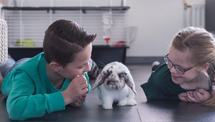als de scholen weer open gaan, corona maatregelen, gaan de scholen weer open