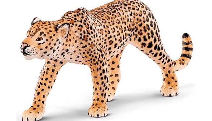 luipaardprint jongens kleding, luipaardprint kinderkleding