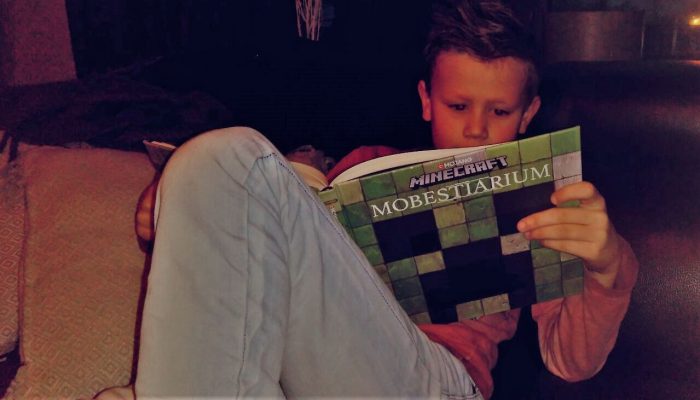 minecraft mobestiarium