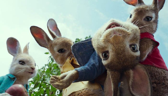 pieter konijn, film pieter konijn